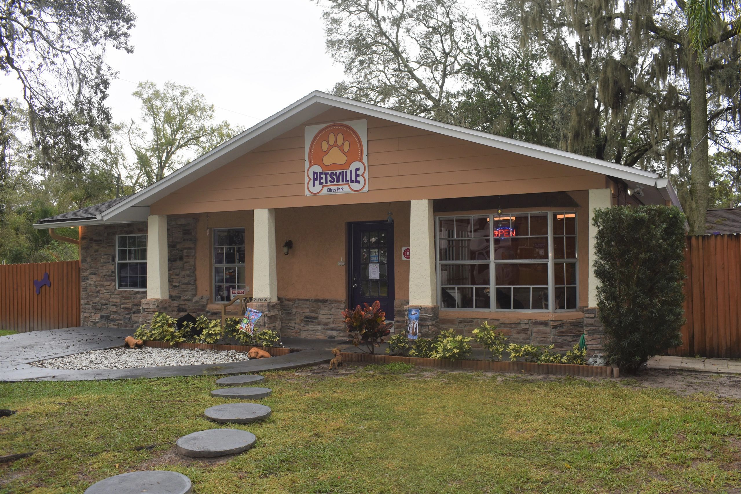 Boarding and Daycare Services Petsville of Citrus Park